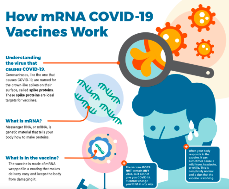 Cartoon image of a person sweating surrounded by magnified cartoon virus, mRNA, and the vaccine explaining how they all interact to build antibodies. The CDC logo is at the bottom.