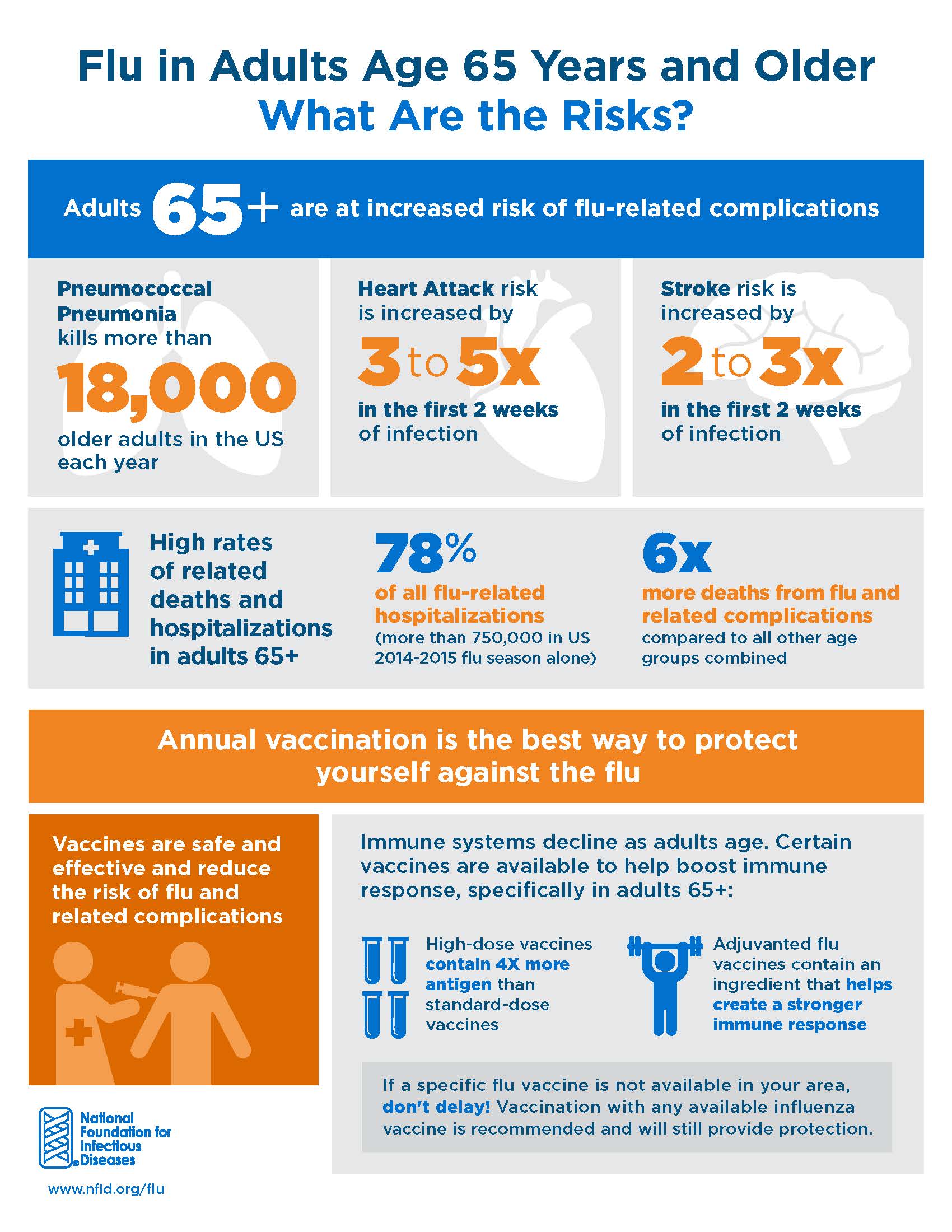 Orange and blue graphic containing facts about the flu in adults age 65 years and older. The facts include an overview of flu-related complications, information on high rates of related deaths and hospitalizations, and information about the protection provided by the flu vaccine.