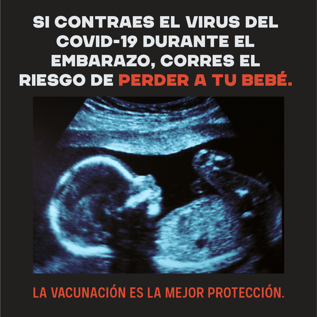 This image shows an ultrasound picture of a baby and says "If you get COVID-19 while pregnant, you're at risk of losing your baby. Vaccination is the best protection."
