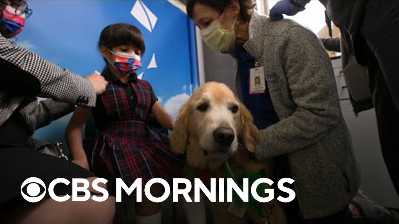 Image from video shows people of multiple races wearing masks. A dog is at the center of the image. A young girl pets the dog while getting a vaccine. A volunteer crouches next to her with a hand on the dog too.