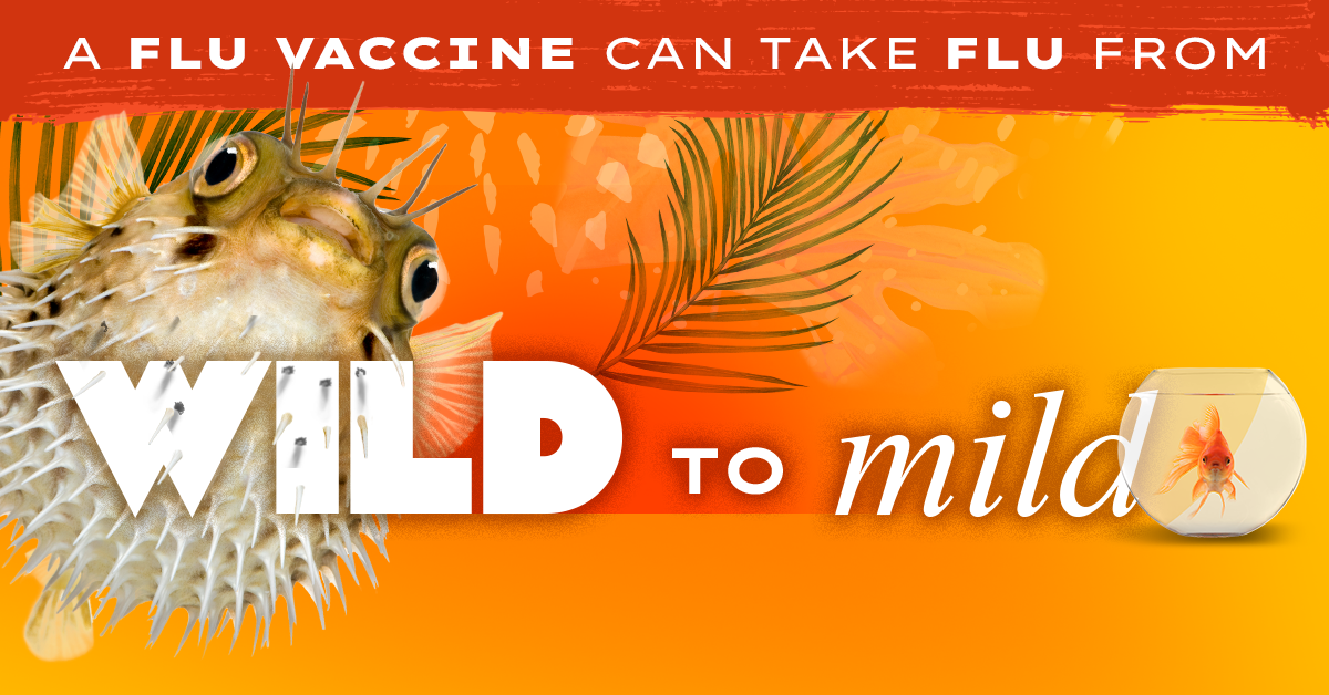 Pufferfish with text: "A flu vaccine can take flu from wild to mild" #fightflu and CDC logo in bottom right. 