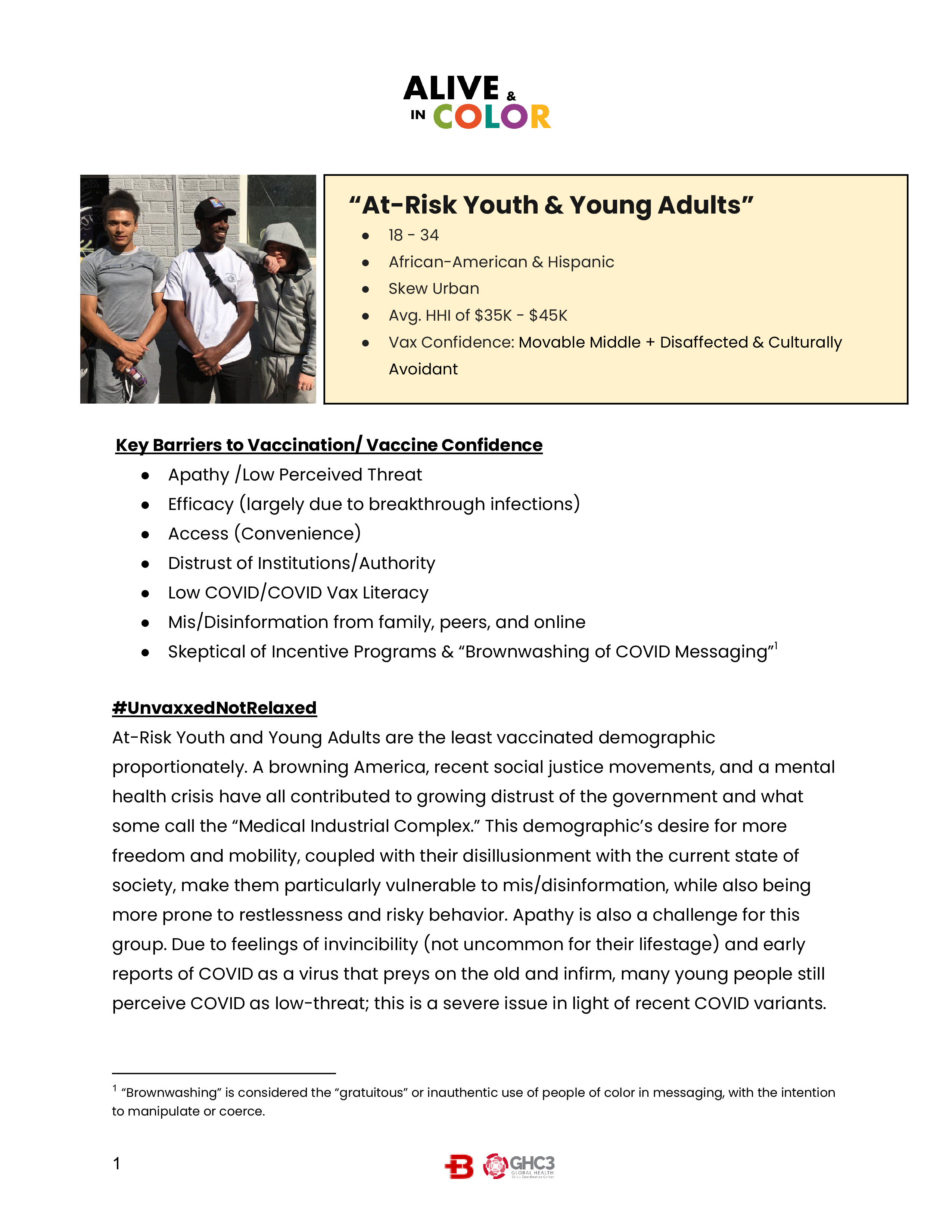 document about "At Risk Youth and Young Adults" audience segment