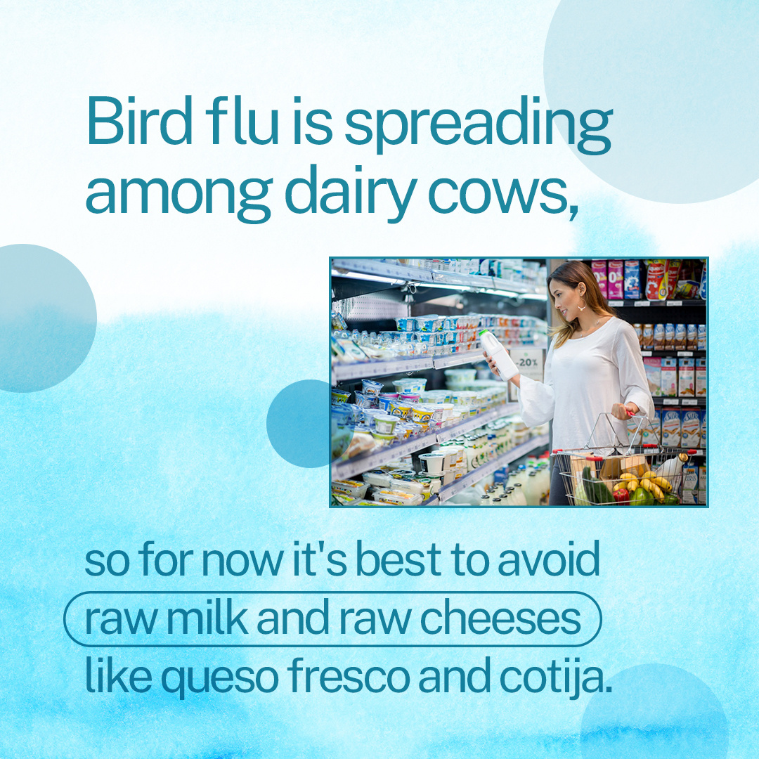A Hispanic/Latina woman shops in a grocery store and holds a container of milk. Text reads, "Bird flu is spreading among dairy cows, so for now it's best to avoid raw milk and raw cheeses like queso fresco and cotija. "