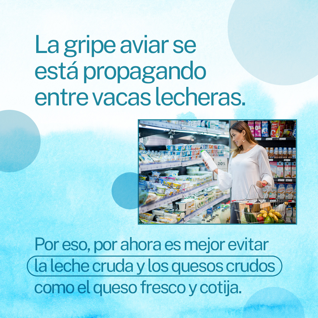 A Hispanic/Latina woman shops in a grocery store and holds a container of milk. Spanish text reads, "Bird flu is spreading among dairy cows, so for now it's best to avoid raw milk and raw cheeses like queso fresco and cotija. "