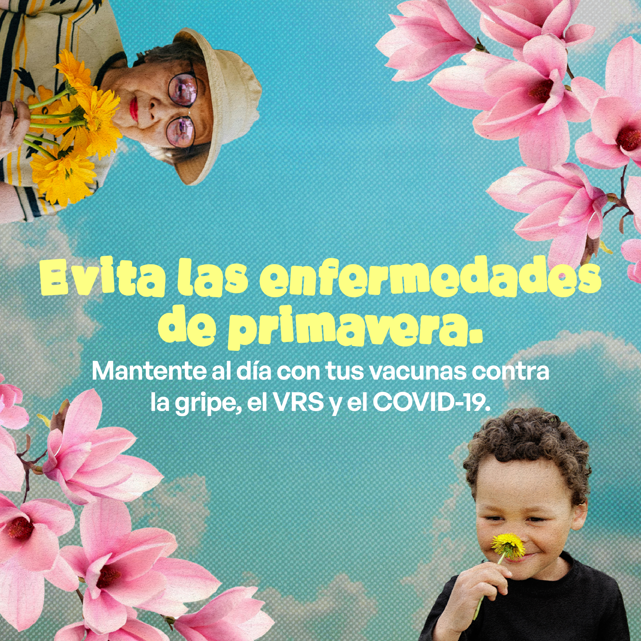 Graphic shows pink cherry blossoms against a blue sky, alongside a child sniffing a dandelion and an older woman in a sunhat sniffing a bouquet of yellow flowers. 