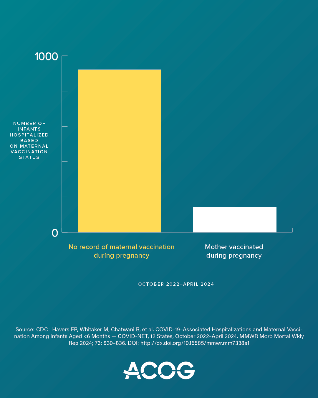 Bar graph compares the number of infants hospitalized with COVID-19 based on maternal vaccination status. The tall yellow bar on the left shows infants with no record of maternal vaccination during pregnancy, and the short white bar on the right shows infants whose mothers were vaccinated. Graph is labeled “Number of infants hospitalized based on maternal vaccination status” and covers October 2022-April 2024. A CDC citation and the ACOG logo appear at the bottom.