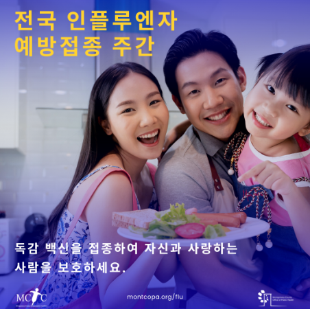 Smiling and happy mother, father, and young daughter are hugging and standing behind a plate of food. There is a flu vaccine message in Korean around them and the organization logo and weblink are at the bottom.