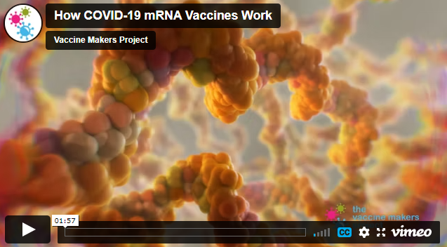 Animation of a protein structure. Video is titled, "How COVID-19 mRNA Vaccines Work"