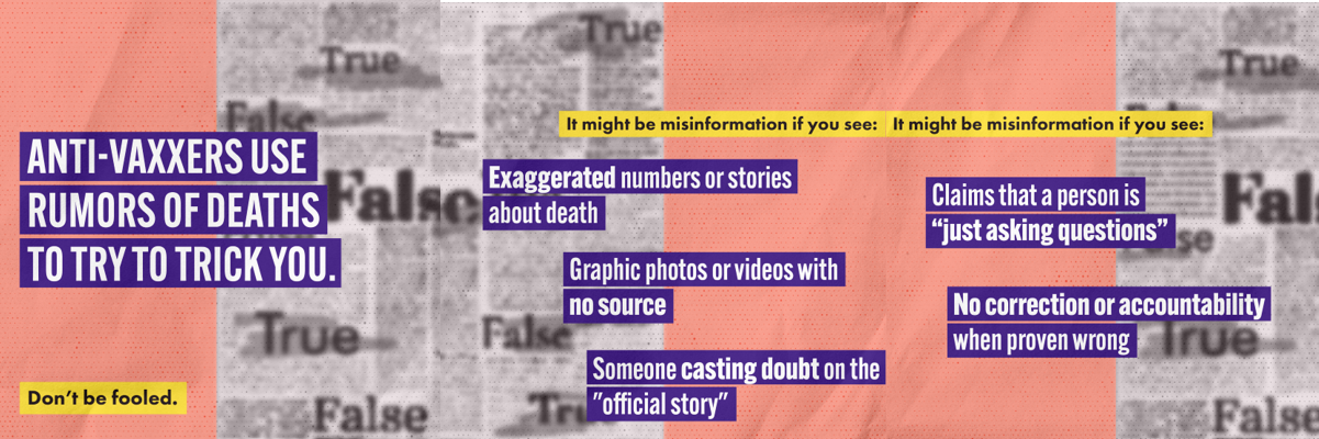 Panel of images shows a background of newspapers with the words true and false emphasized 