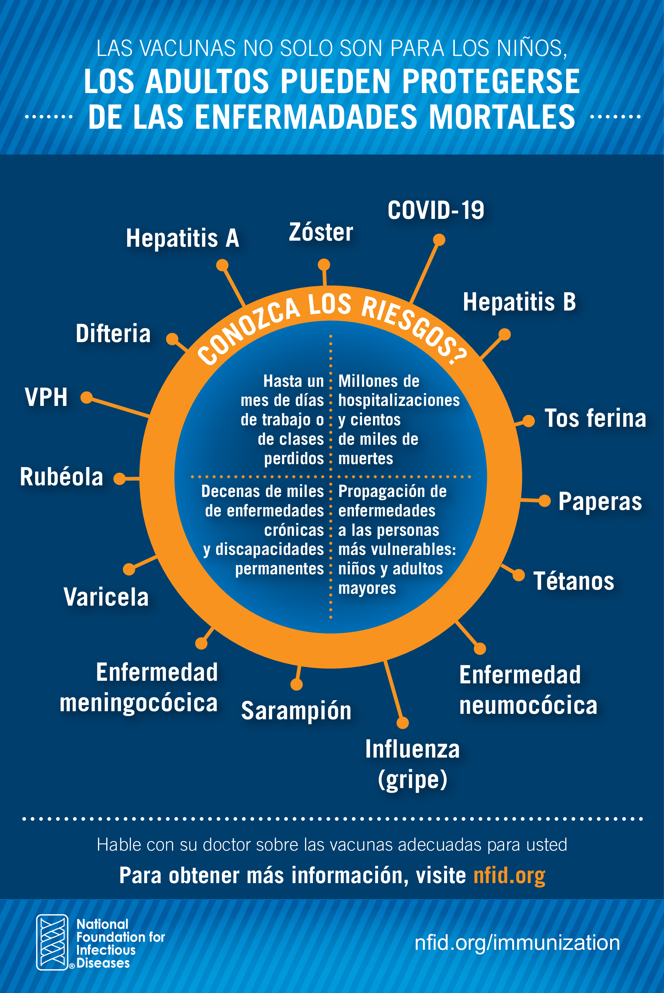 An orange circle has multiple branches which point to the names of various adult vaccines. The bottom left corner has the National Foundation for Infectious Diseases logo and the bottom right corner has #getvaccinated.