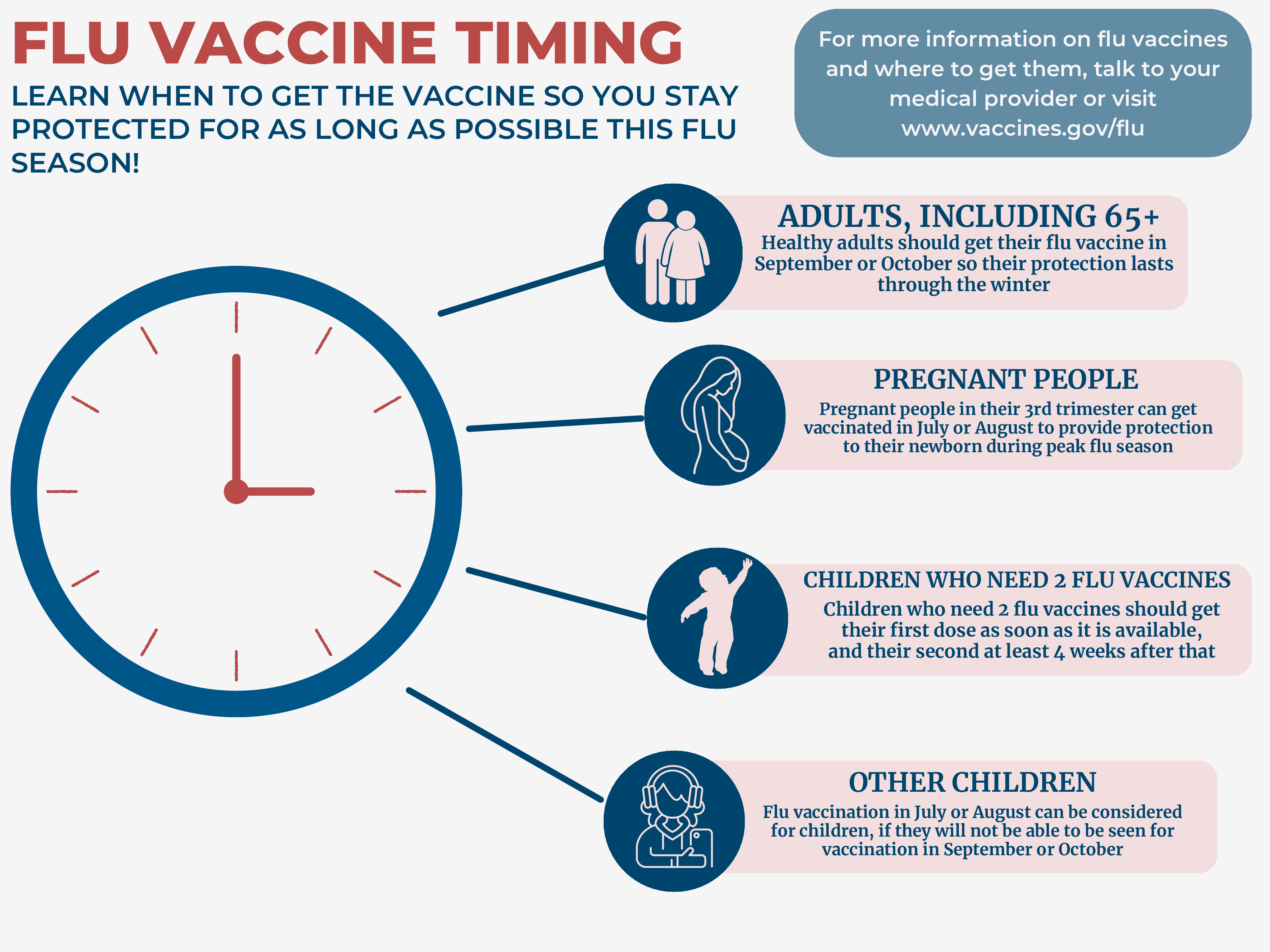 Factsheet reads 'flu vaccine timing' and has picture icons of various sub-populations: adults, pregnant people and children.