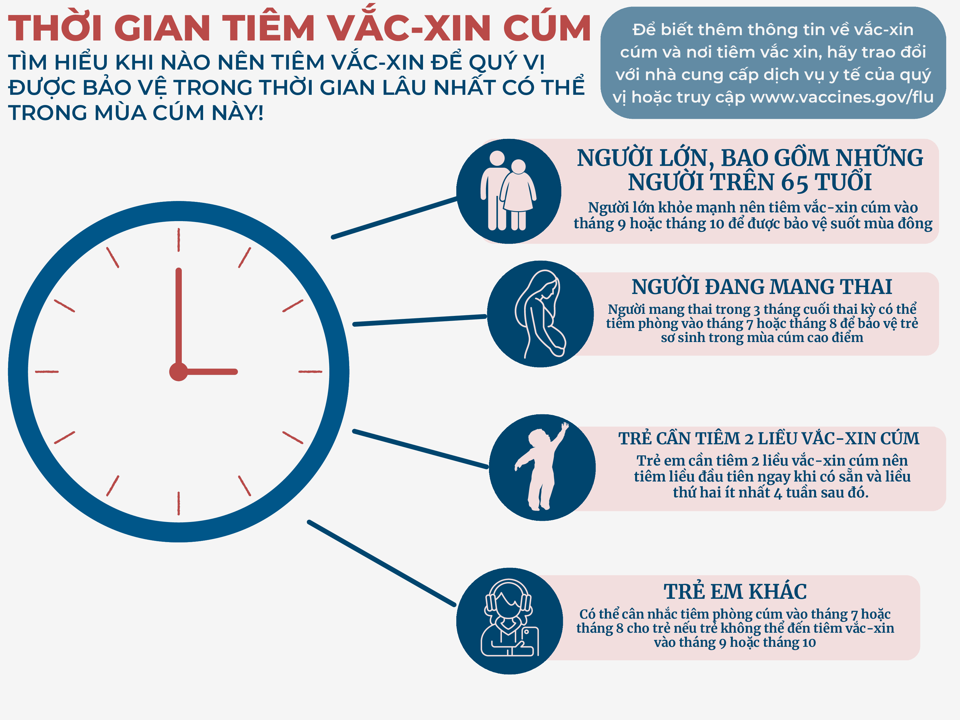 Factsheet reads 'flu vaccine timing' and has picture icons of various sub-populations: adults, pregnant people and children.