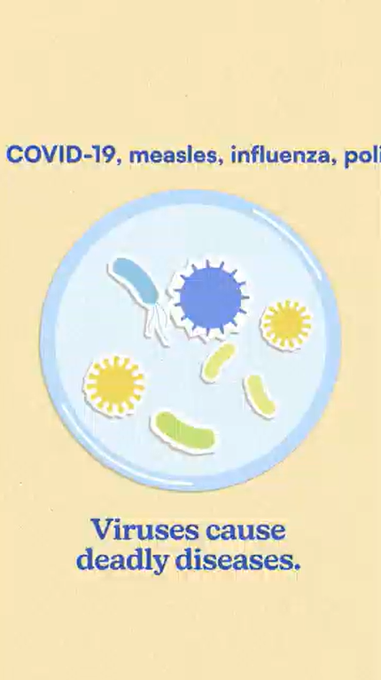 Video still shows an illustrated image of a petri dish with different types of viruses.