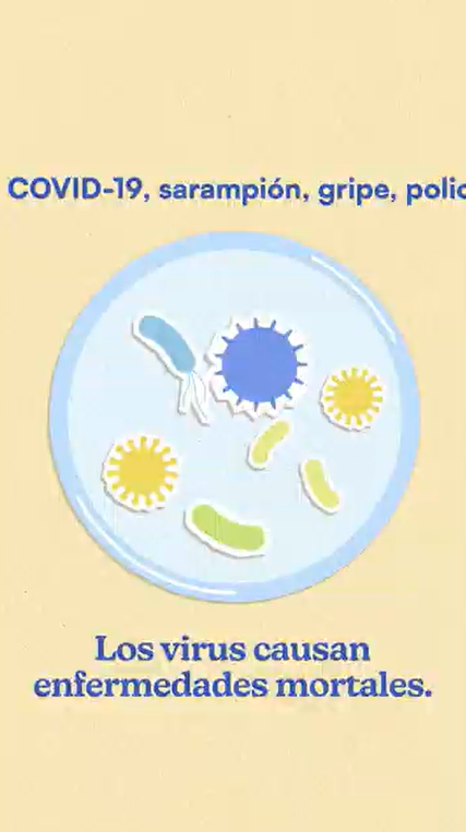 Video still shows an illustrated image of a petri dish with different types of viruses.