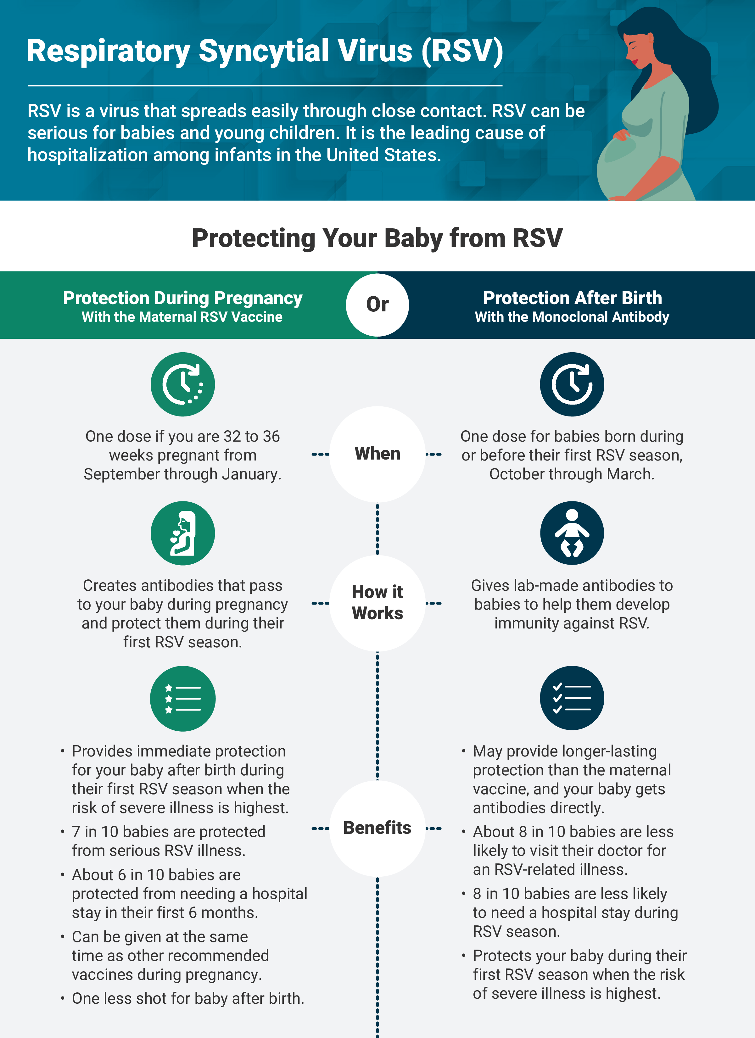 Image is of a factsheet with a cartoon of a pregnant woman in the top right corner.