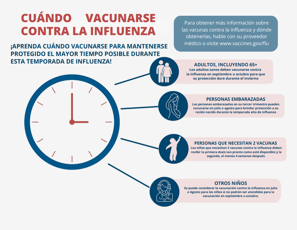 Factsheet reads 'flu vaccine timing' and has picture icons of various sub-populations: adults, pregnant people and children.