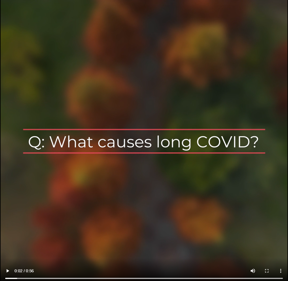 Text reads, "Q: What causes long COVID?" on a blurred red and green background showing the tops of trees in fall.