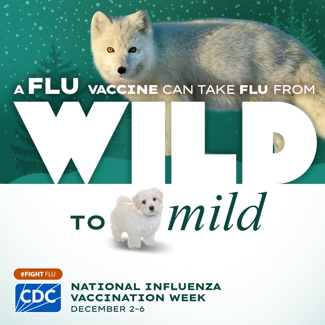 Graphic shows a white fox and tiny white puppy with the text 'a flu vaccine can take flu from wild to mild #fightflu' and the blue CDC logo.