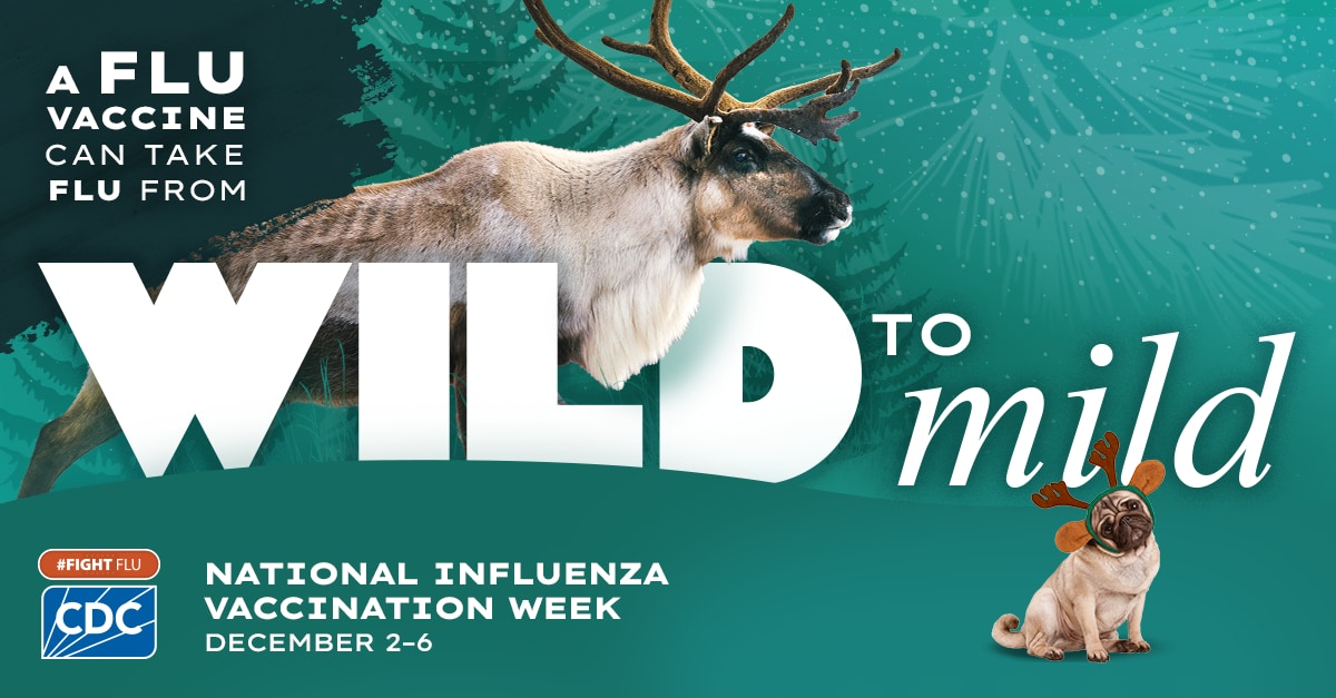 Graphic shows a large moose and pug wearing antlers with the text 'a flu vaccine can take flu from wild to mild #fightflu' and the blue CDC logo.