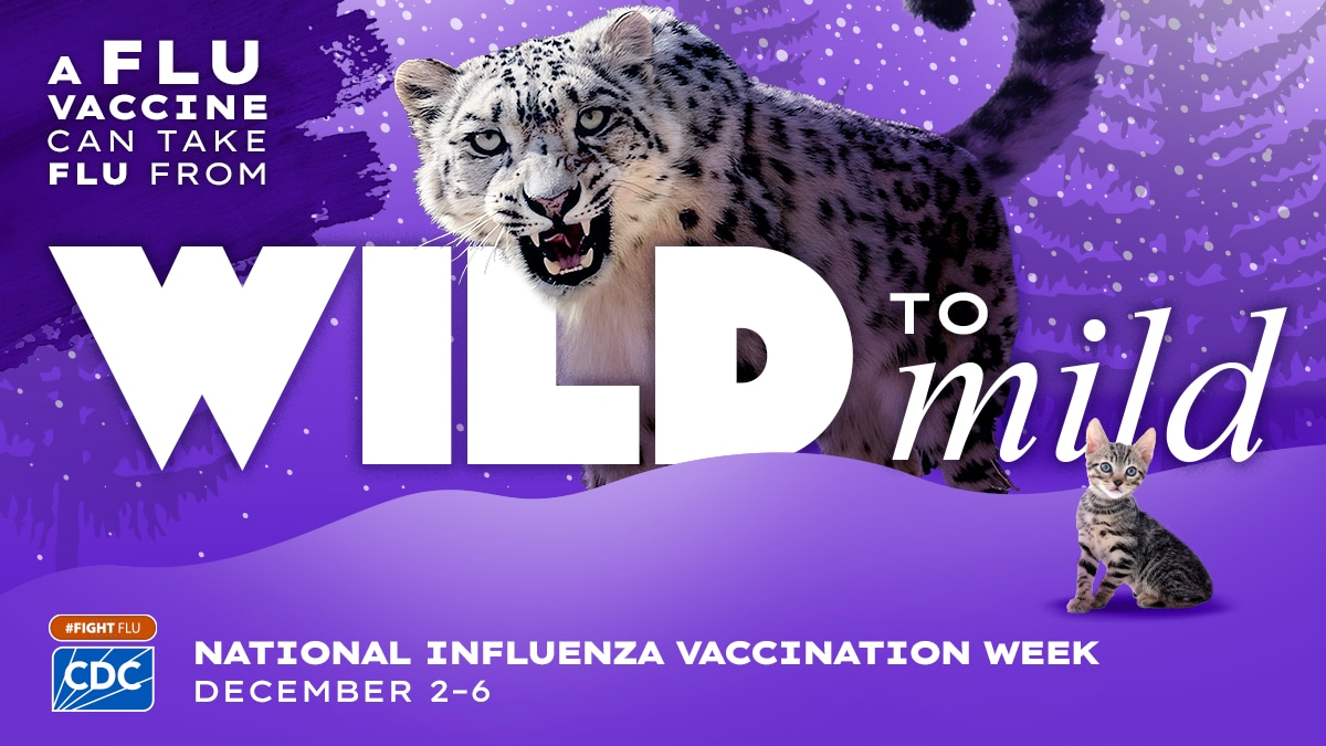 Graphic shows a snow leopard and kitten with the text 'a flu vaccine can take flu from wild to mild #fightflu' and the blue CDC logo.