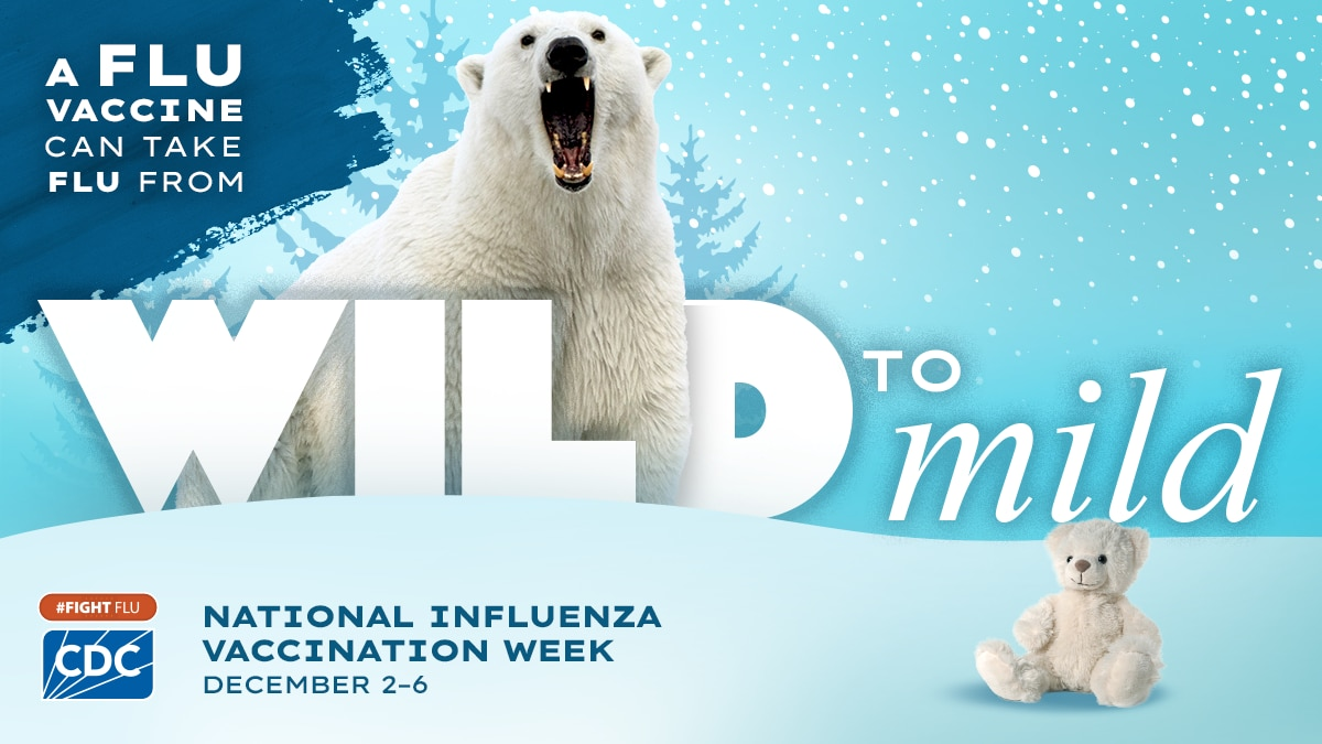 Graphic shows a growling polar bear and tiny white teddy bear with the text 'a flu vaccine can take flu from wild to mild #fightflu' and the blue CDC logo.