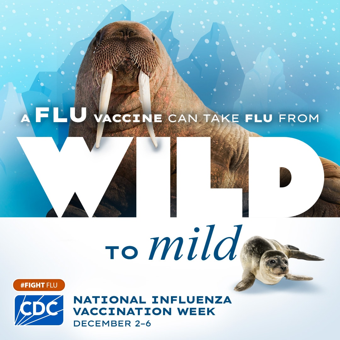 Graphic shows a walrus and seal pup with the text 'a flu vaccine can take flu from wild to mild #fightflu' and the blue CDC logo.