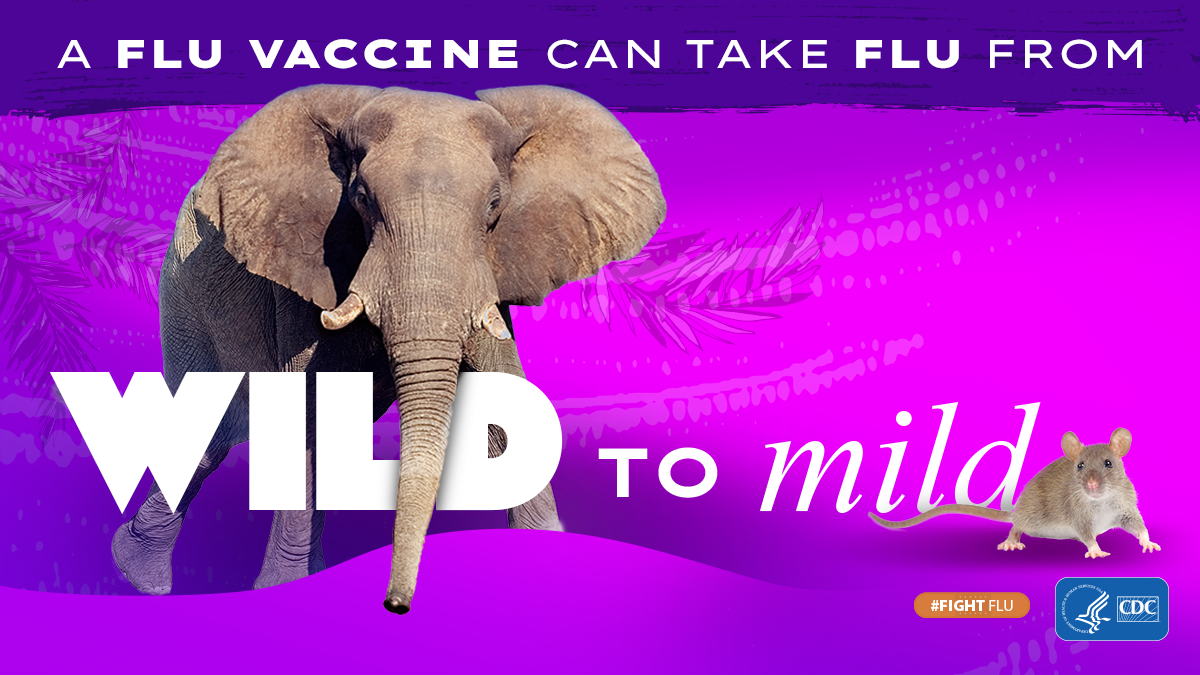 elephant with text: A flu vaccine can take flu from wild to mild #fightflu CDC logo