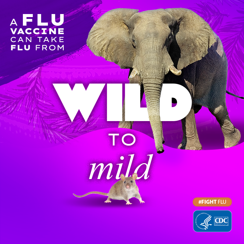elephant with text: A flu vaccine can take flu from wild to mild #fightflu CDC logo