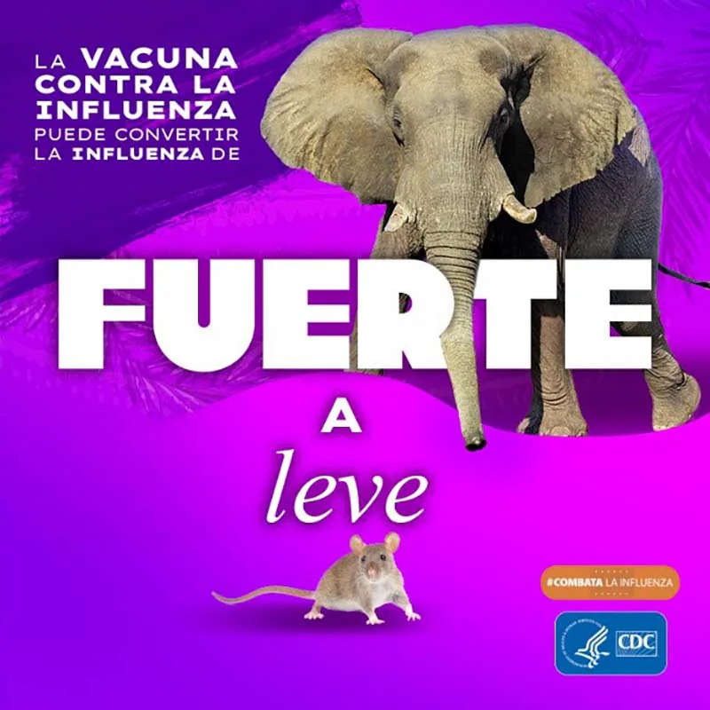 elephant with text: A flu vaccine can take flu from wild to mild #fightflu CDC logo