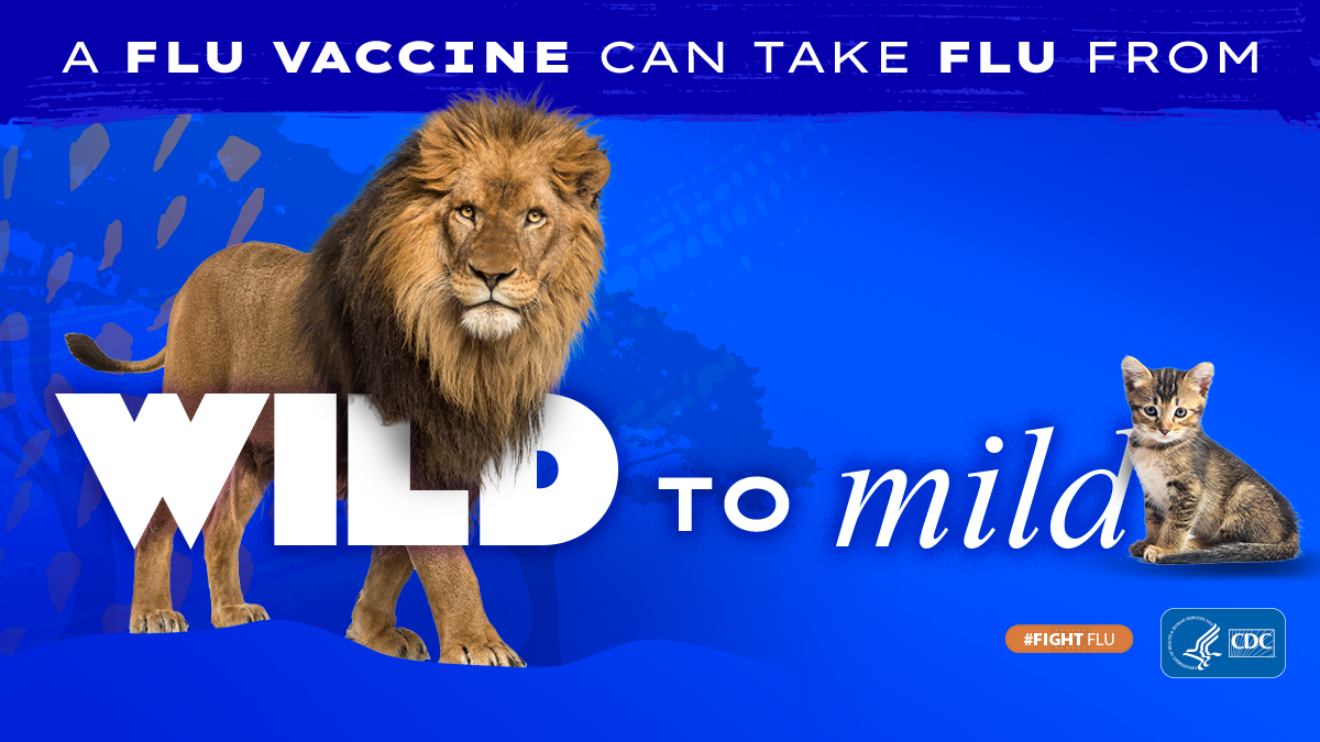 lion with text: A flu vaccine can take flu from wild to mild #fightflu CDC logo