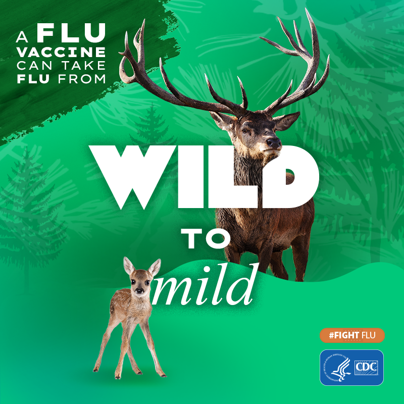 moose with text: A flu vaccine can take flu from wild to mild #fightflu CDC logo