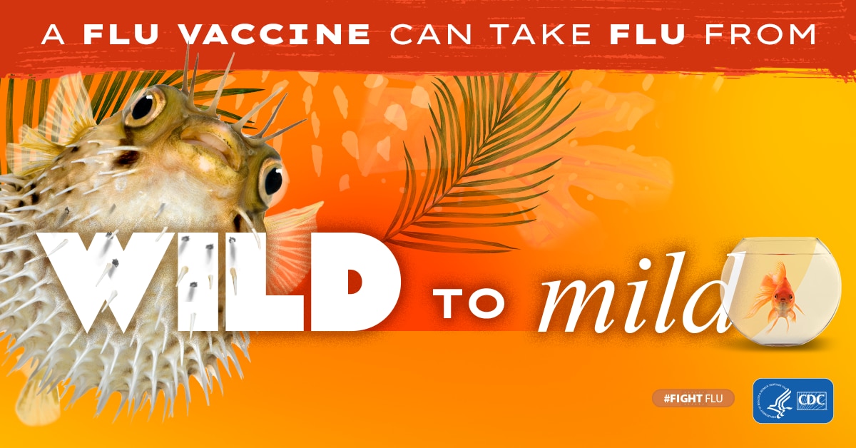 puffer fish with text: A flu vaccine can take flu from wild to mild #fightflu CDC logo