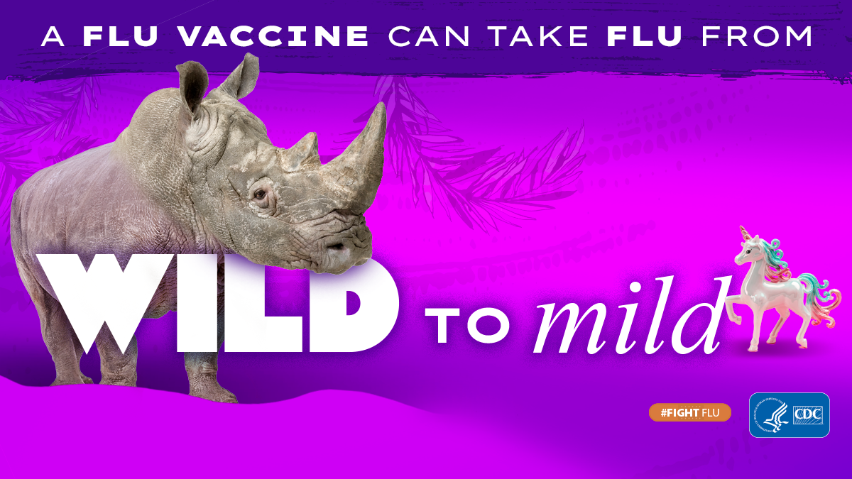 rhino with text: A flu vaccine can take flu from wild to mild #fightflu CDC logo