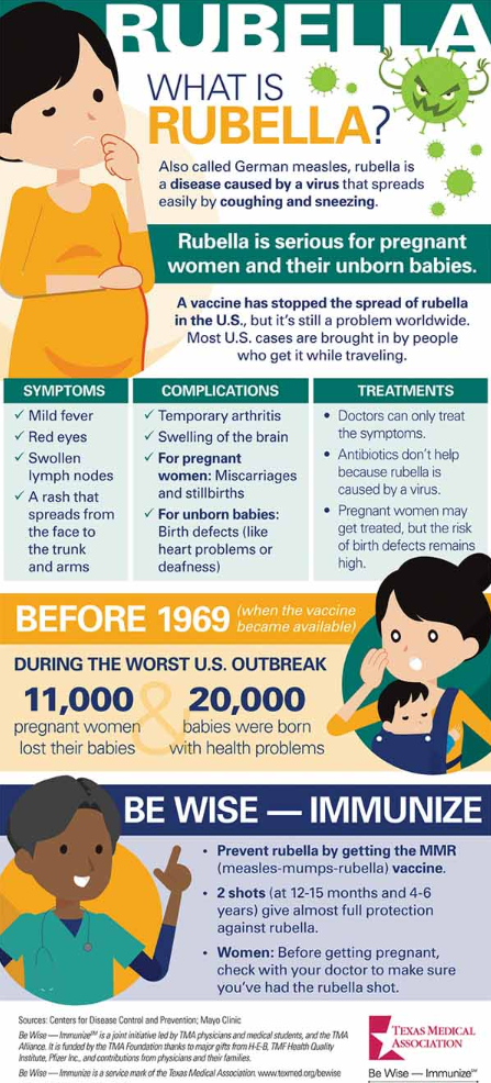Rubella factsheet with image of a pregnant woman, viral germs, a mother and her baby, and a health practitioner.