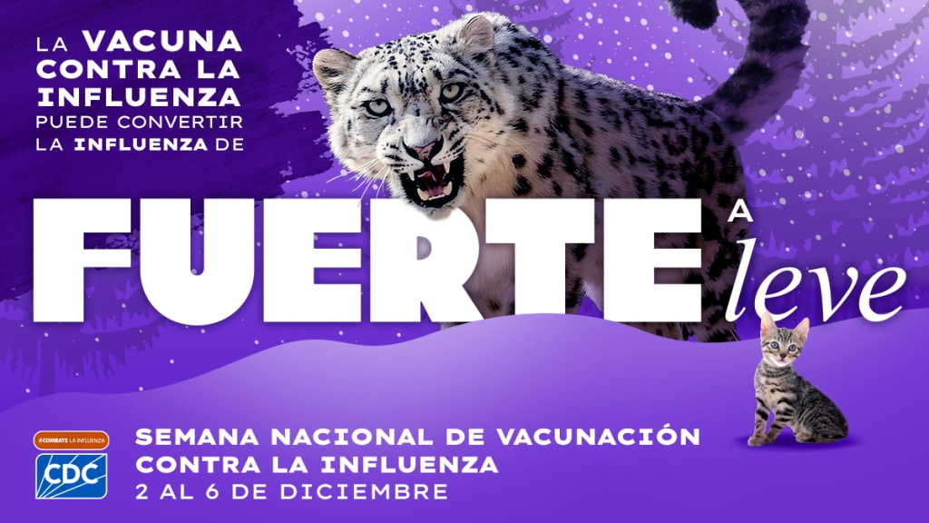 Graphic shows a snow leopard and kitten with the text 'a flu vaccine can take flu from wild to mild #fightflu' and the blue CDC logo.