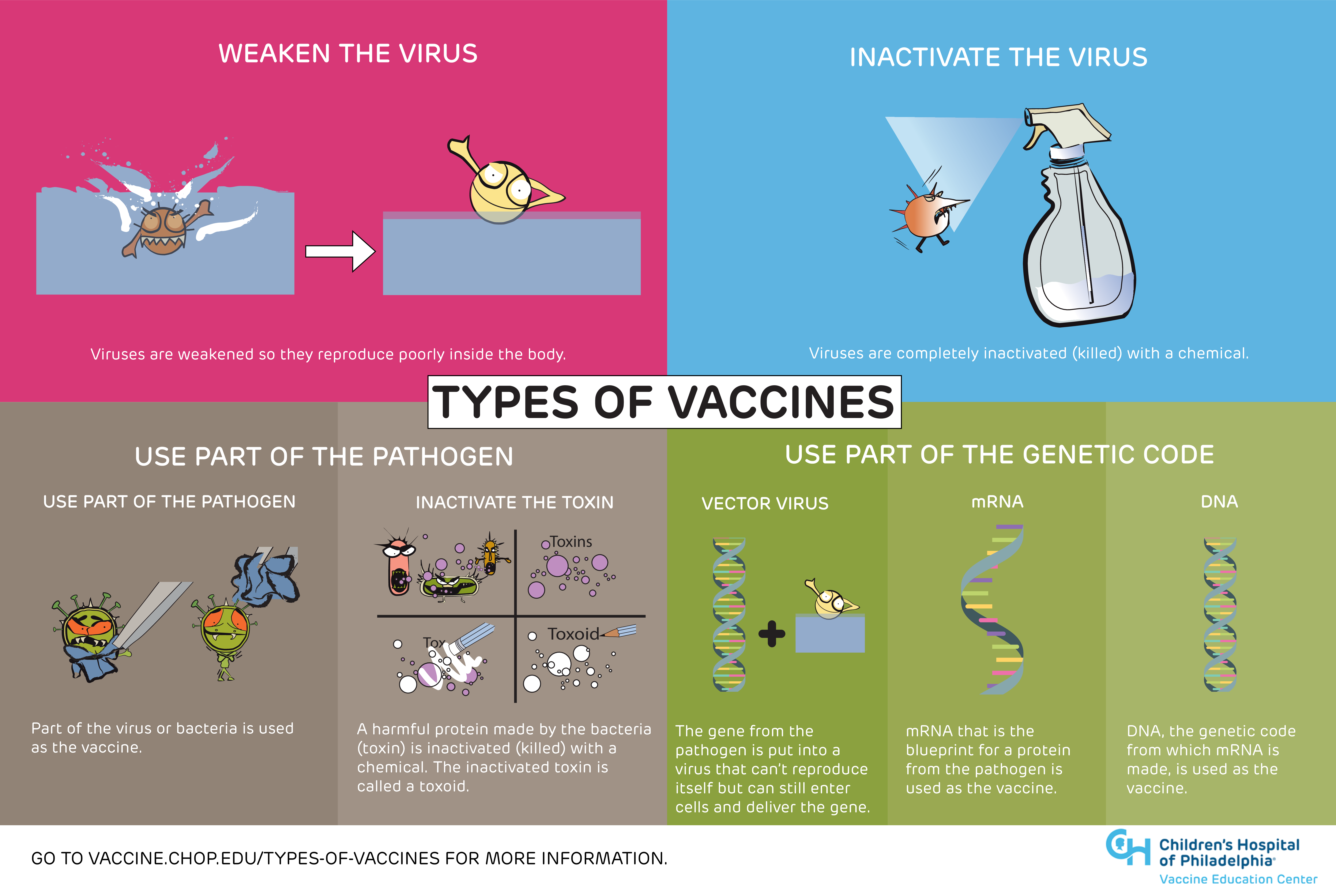 Cartoon illustrations in four panels demonstrate different ways that vaccines can beat viruses 