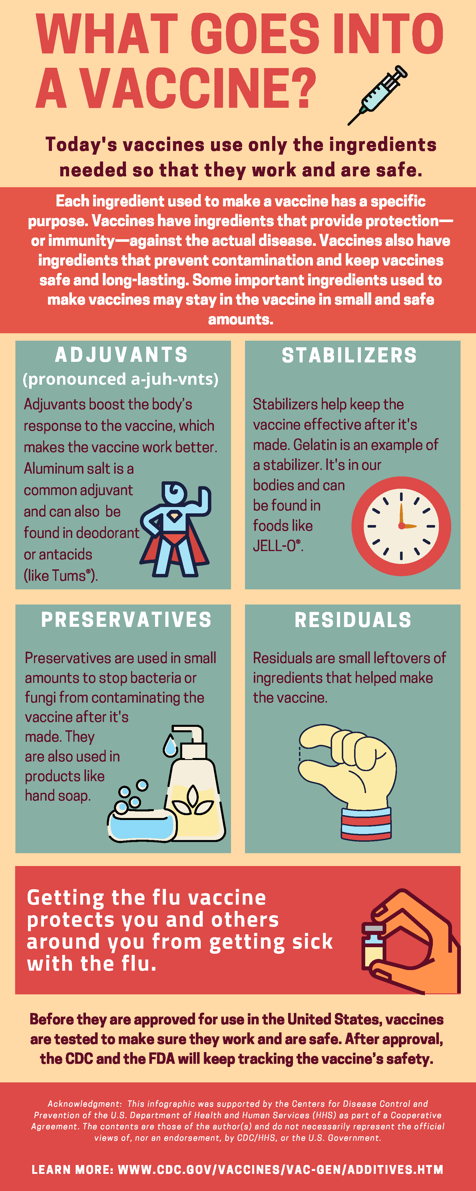 What goes into a vaccine factsheet provides information on important ingredients that are used in vaccines.