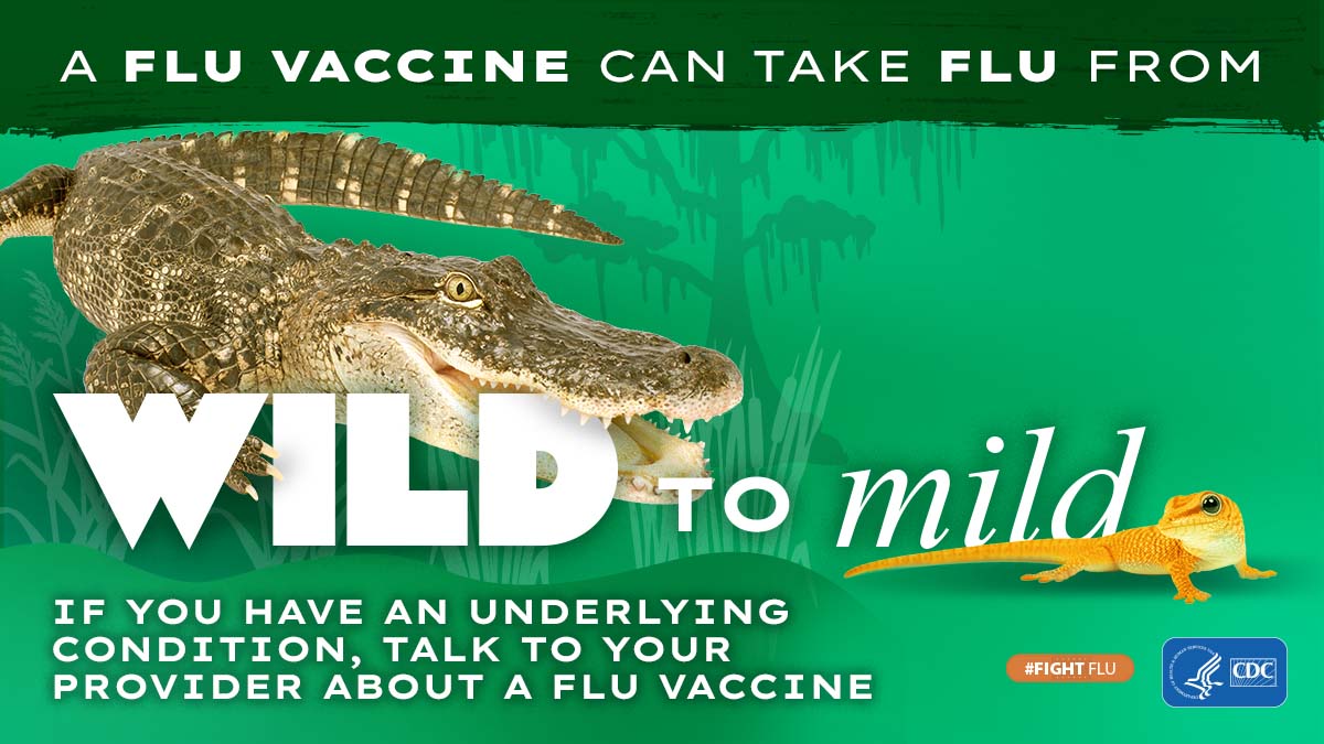 crocodile with text: A flu vaccine can take flu from wild to mild #fightflu CDC logo