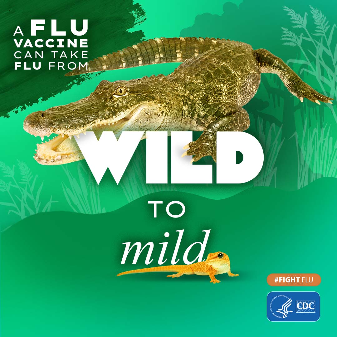 crocodile with text: A flu vaccine can take flu from wild to mild #fightflu CDC logo