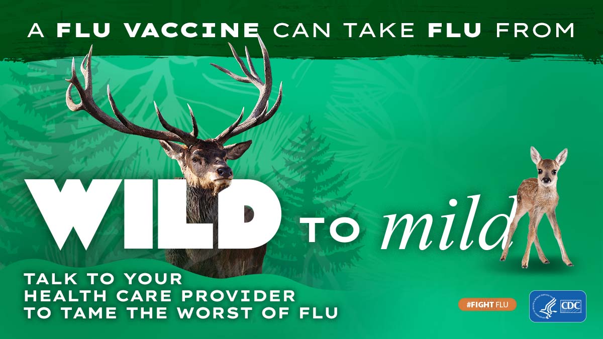 elk with text: A flu vaccine can take flu from wild to mild #fightflu CDC logo