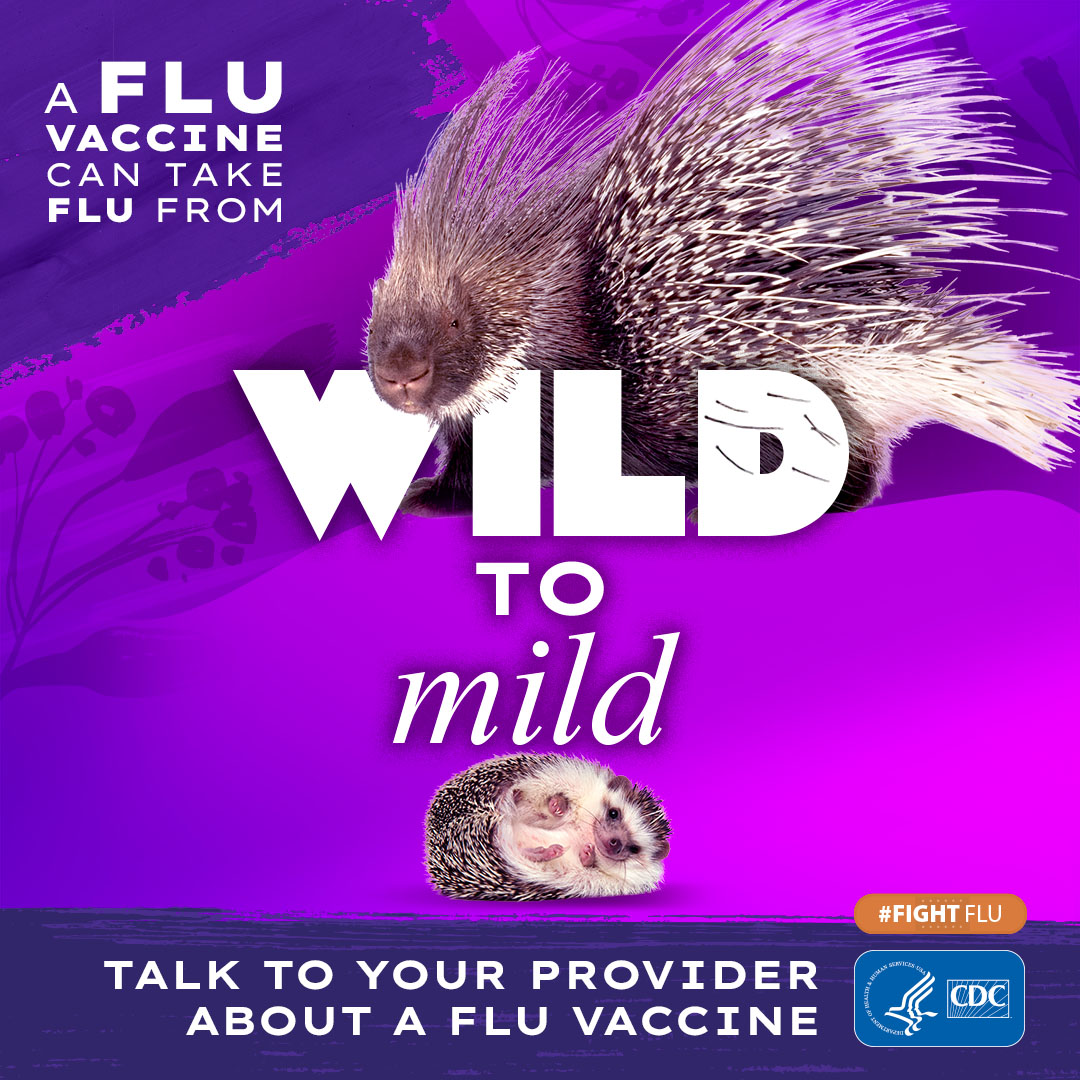 porcupine with text: A flu vaccine can take flu from wild to mild #fightflu CDC logo