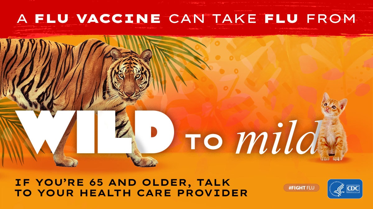 tiger with text: A flu vaccine can take flu from wild to mild #fightflu CDC logo